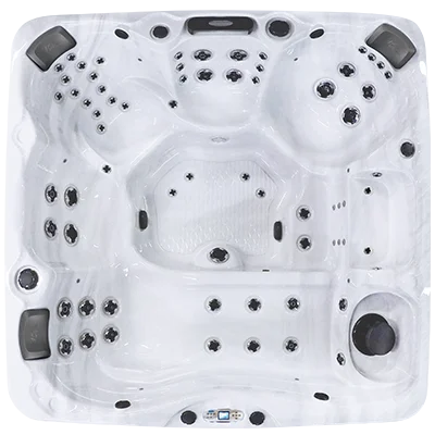 Avalon EC-867L hot tubs for sale in Oakpark